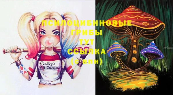 прущий лед Лагань