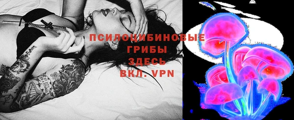 мет Ладушкин