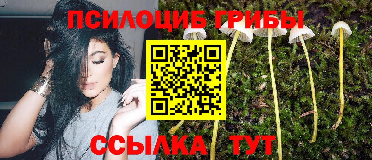 Галлюциногенные грибы GOLDEN TEACHER Пенза