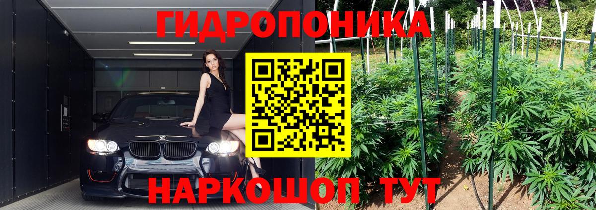 Конопля ГИДРОПОН  Пенза  Бошки Шишки VHQ  Конопля ГИДРОПОН  Бошки Шишки LSD WEED 
